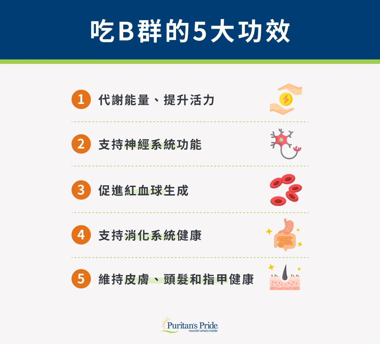 維他命B群保健食品推薦與營養成分