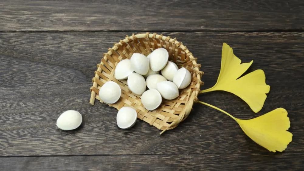 銀杏功效有哪些?一篇了解銀杏葉萃取物的好處、吃法與禁忌