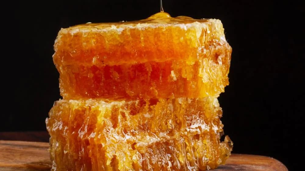 蜂膠功效有哪些?蜂膠好處、食用方式、禁忌與產品推薦完整指南